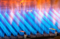Salcombe Regis gas fired boilers
